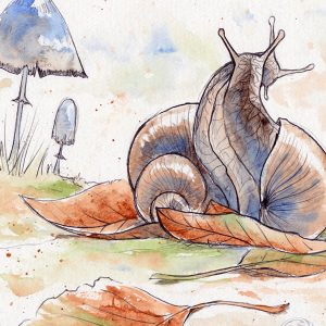 aquarelles, peintures, dessins