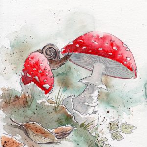 Escargot et amanites tue-mouche