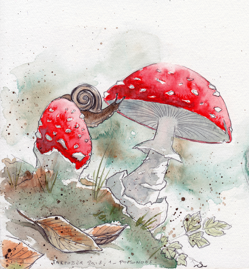 Aquarelle escargot et amanites tue-mouche