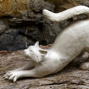 Chat blanc qui s&rsquo;étire