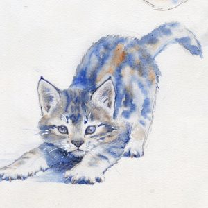 Aquarelle étude de chats