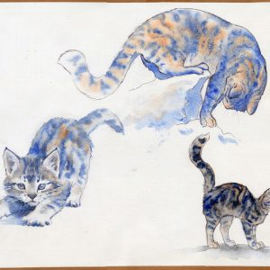 Aquarelle étude de chats