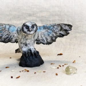 Chouette du petit peuple qui ouvre ses ailes