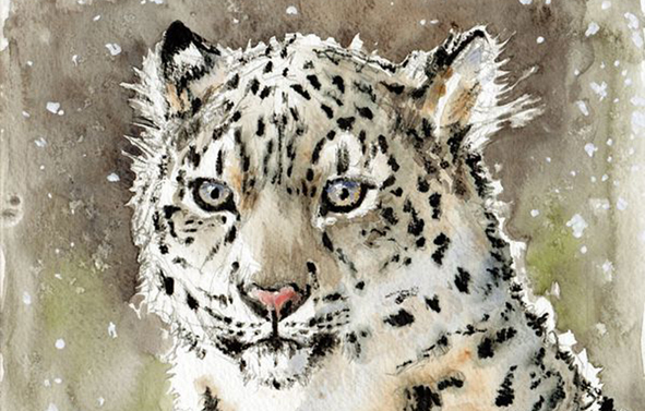 Panthère des neiges sous la neige. Aquarelle.