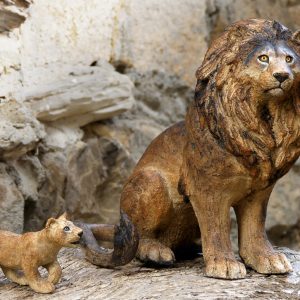Circle of Life