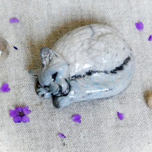 Chat blanc azuréen endormi du Petit Peuple