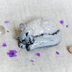 Chat blanc azuréen endormi du Petit Peuple