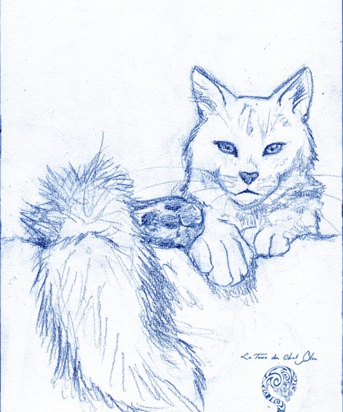 Dessin réaliste de chat, au crayon bleu