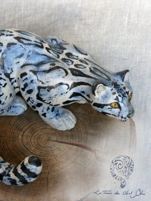 Panthère nébuleuse II tournée vers la droite recadrée blog